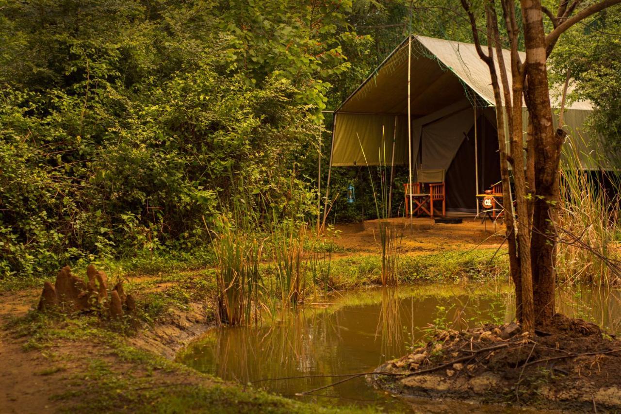 Hotel Big Game Yala - By Eco Team Exterior foto