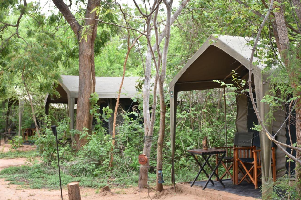 Hotel Big Game Yala - By Eco Team Exterior foto